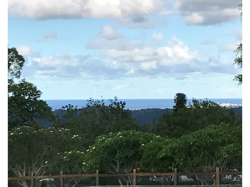 620 Trees Road, Tallebudgera QLD 4228