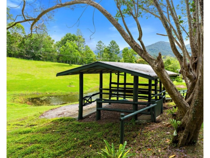 1227 Tallebudgera Creek Road, Tallebudgera Valley QLD 4228