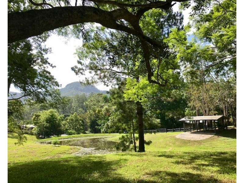 1227 Tallebudgera Creek Road, Tallebudgera Valley QLD 4228