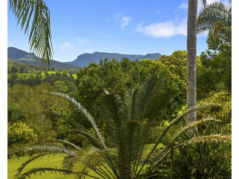 6 Fresco Court, Tallebudgera Valley QLD 4228