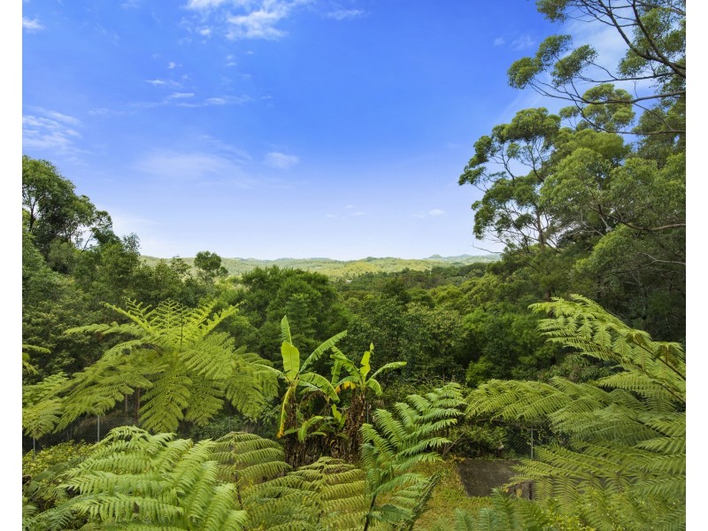 34 Raleigh Terrace, Currumbin Waters QLD 4223