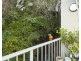 4/9 Dandaloo Drive, Currumbin QLD 4223