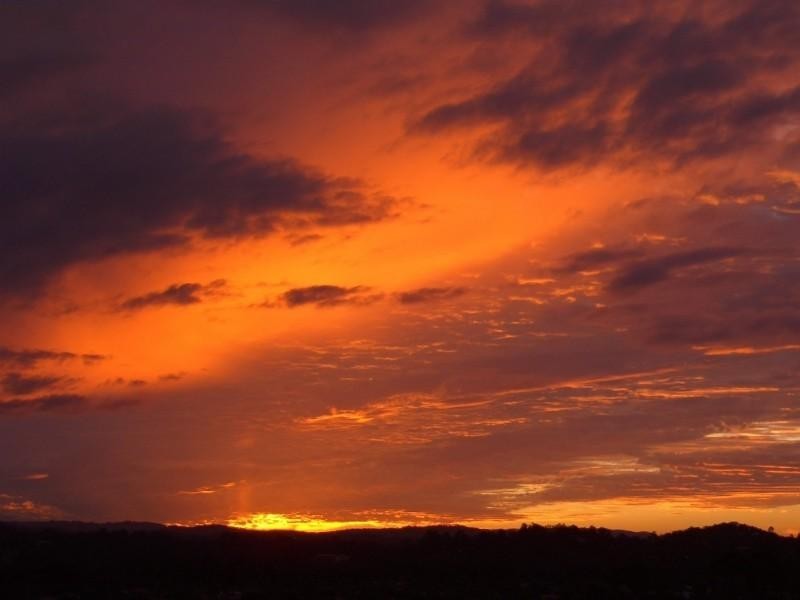 6 Wiluna Court, Elanora QLD 4221