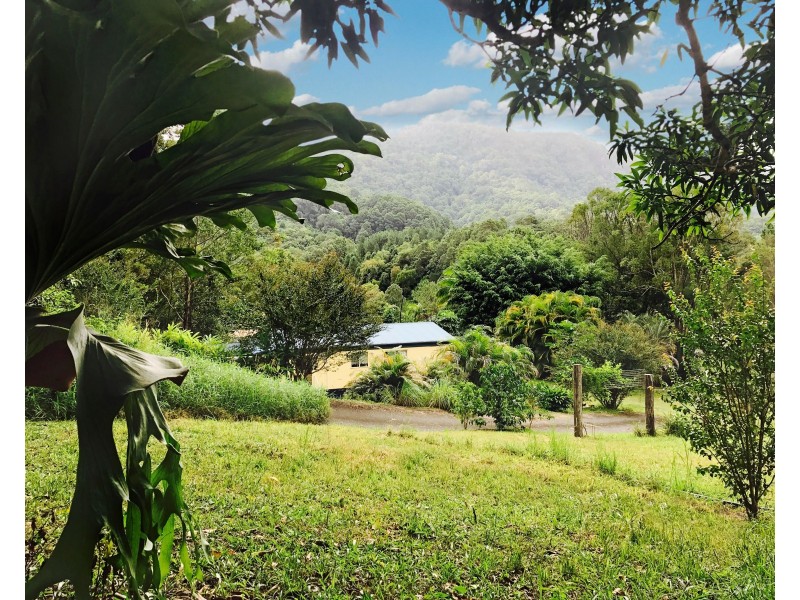 1381 Currumbin Creek Road, Currumbin Valley QLD 4223