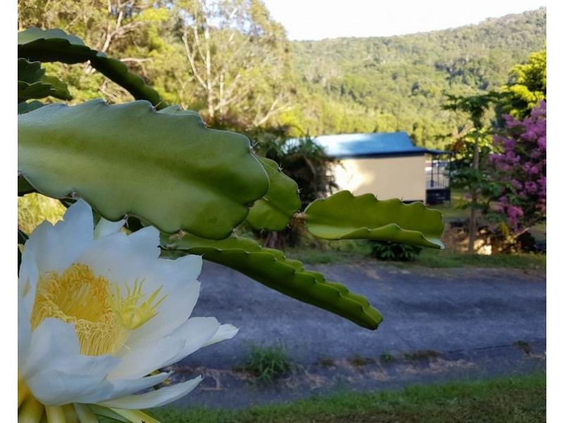 1381 Currumbin Creek Road, Currumbin Valley QLD 4223