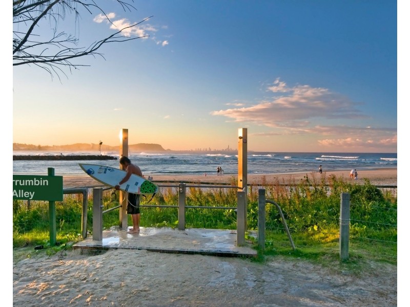 67 Guineas Creek Road, Elanora QLD 4221