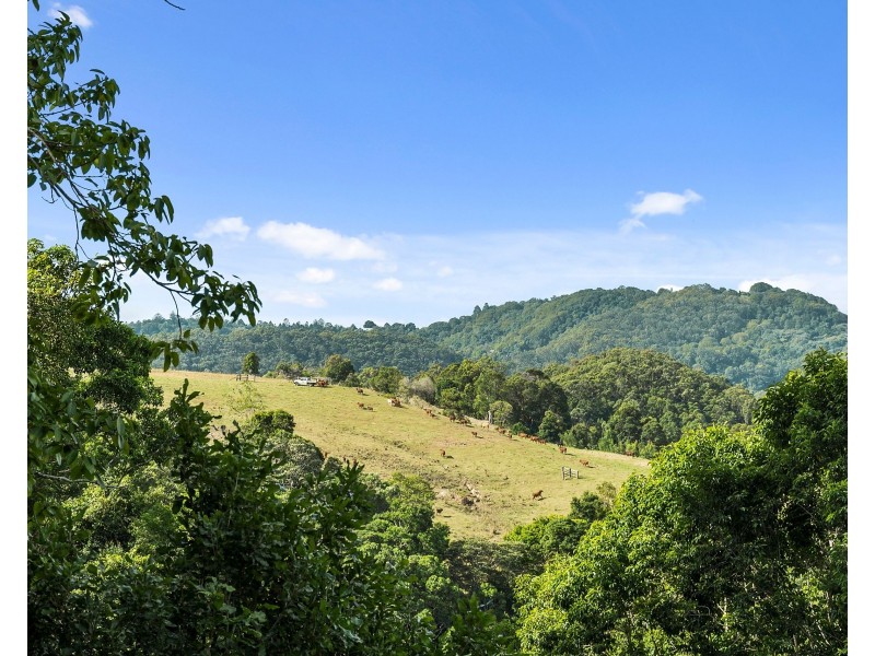 114 Reynolds Road, Currumbin Valley QLD 4223