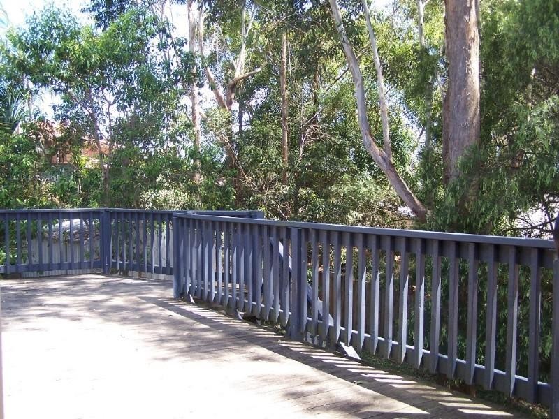 16 currant Street, Elanora QLD 4221