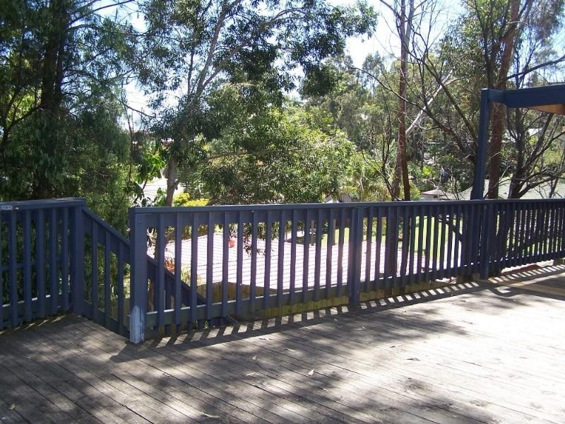 16 currant Street, Elanora QLD 4221