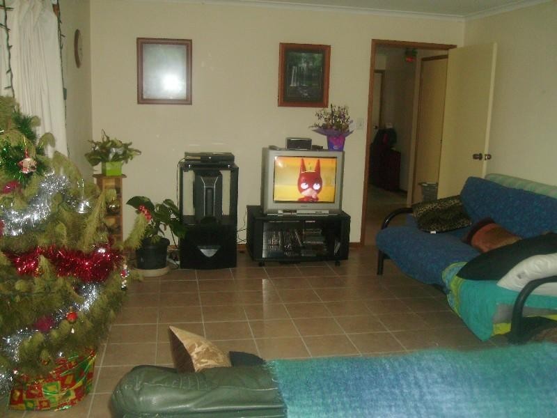 17 Fatsia Court, Elanora QLD 4221