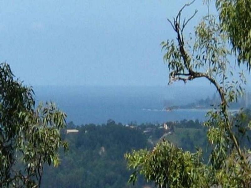 Currumbin Waters QLD 4223