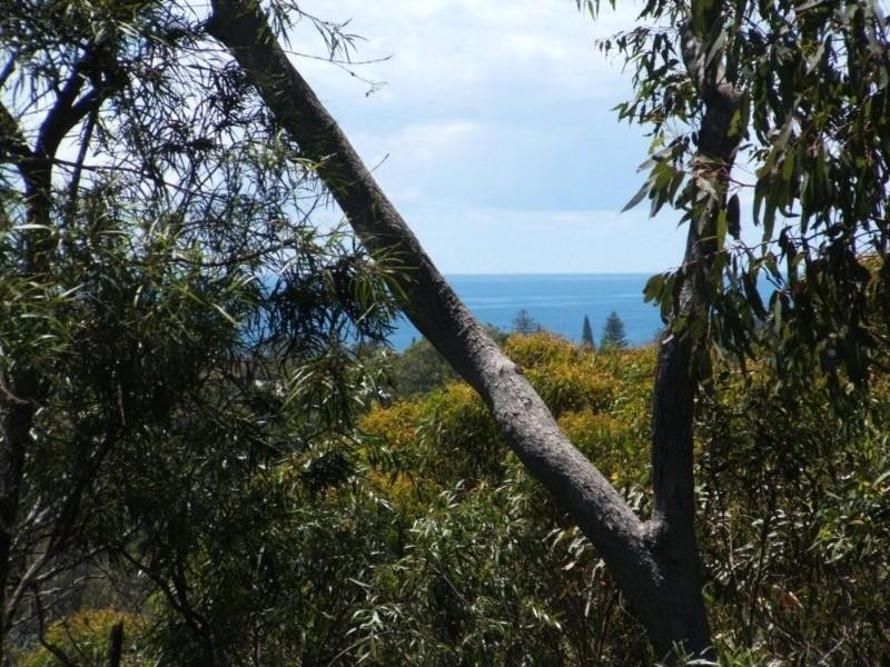 4 Sanctuary Crest, Currumbin QLD 4223