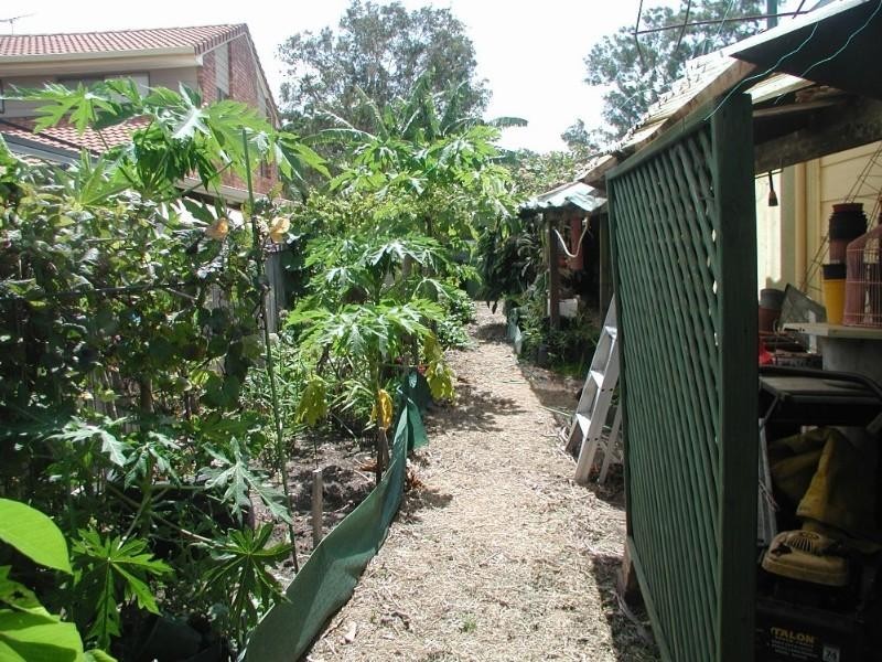 21 Keel Court, Currumbin Waters QLD 4223