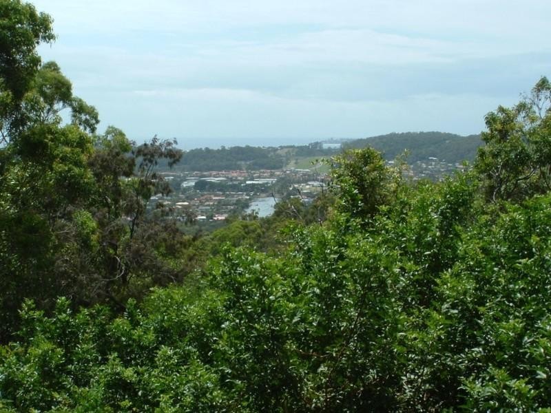 136 Simpsons Road, Currumbin Waters QLD 4223
