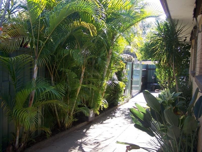 2/46 Mitchell Avenue, Currumbin QLD 4223