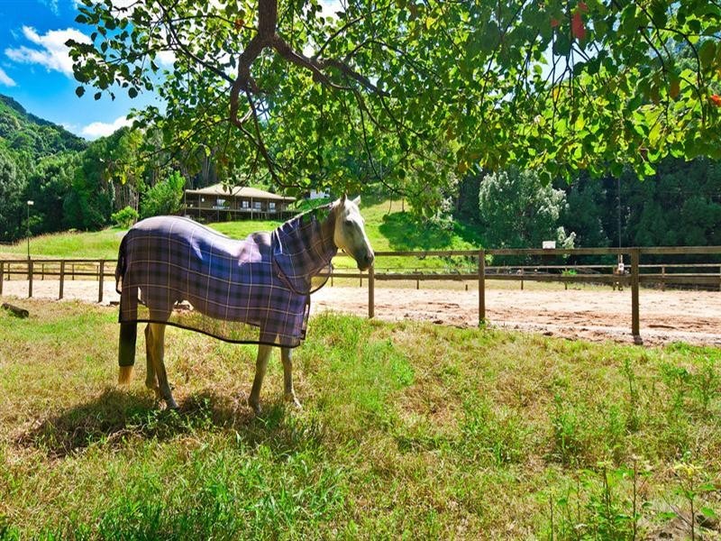 1186 Currumbin Creek Road, Currumbin Valley QLD 4223