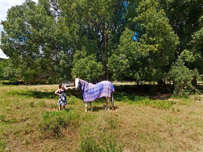 1186 Currumbin Creek Road, Currumbin Valley QLD 4223