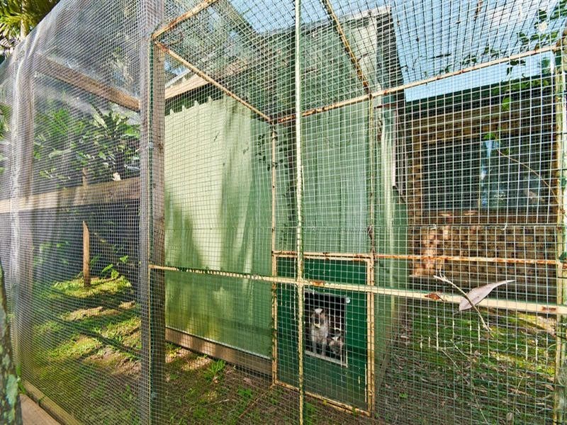 1186 Currumbin Creek Road, Currumbin Valley QLD 4223