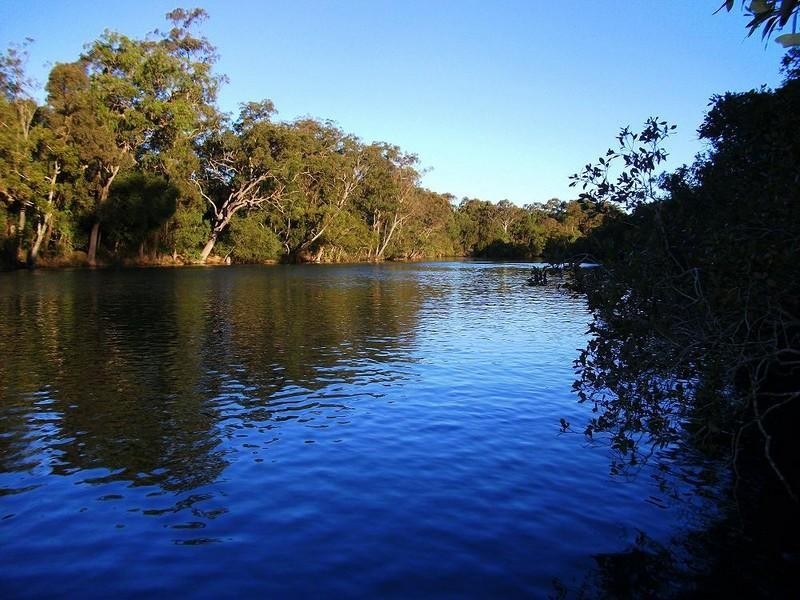 50 Tallebudgera Creek Road, Tallebudgera QLD 4228