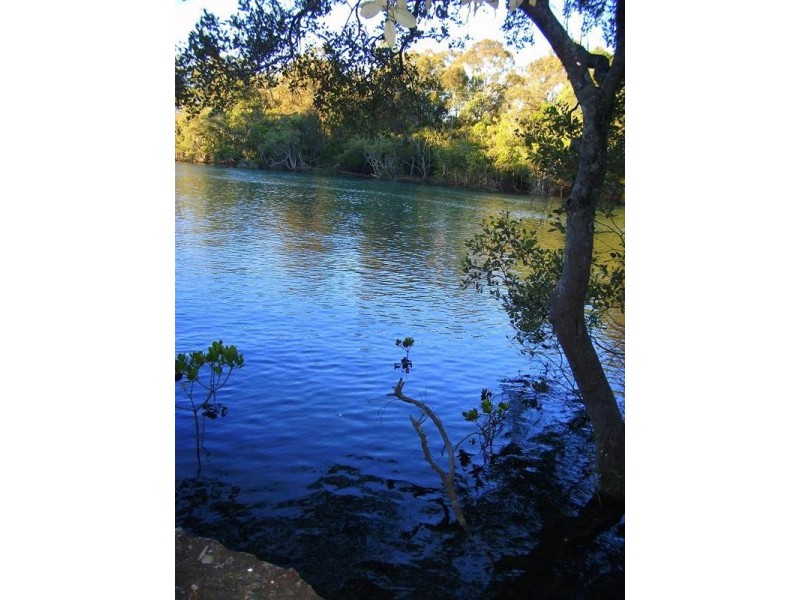 50 Tallebudgera Creek Road, Tallebudgera QLD 4228