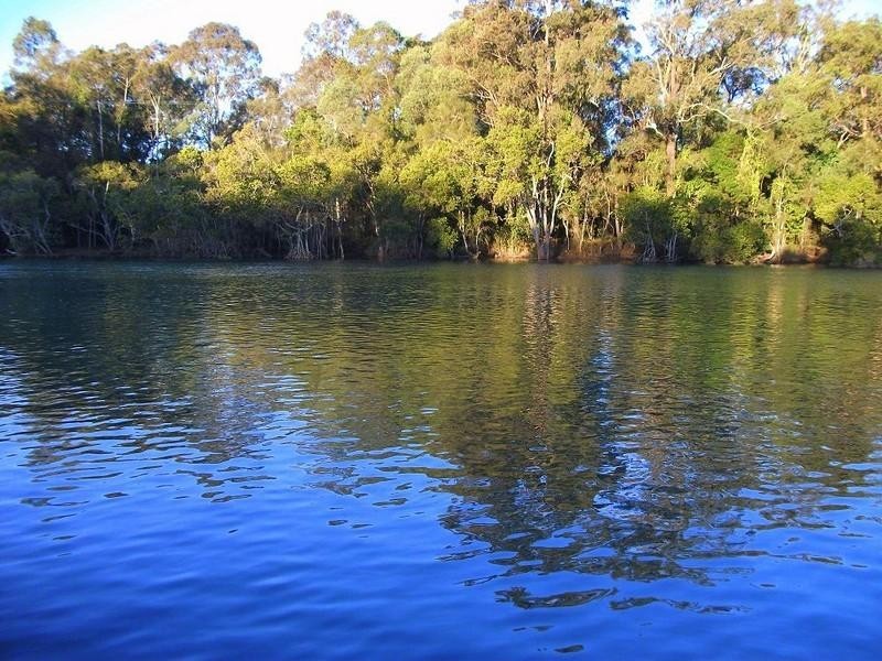 50 Tallebudgera Creek Road, Tallebudgera QLD 4228