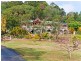 25 Jamberoo Court, Tallebudgera QLD 4228