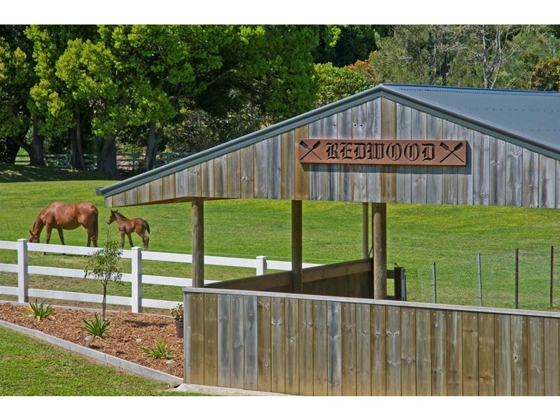 517 Currumbin Creek Road, Currumbin Valley QLD 4223