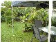 Tugun QLD 4224