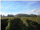 90 Black Range Road, Tumbarumba NSW 2653