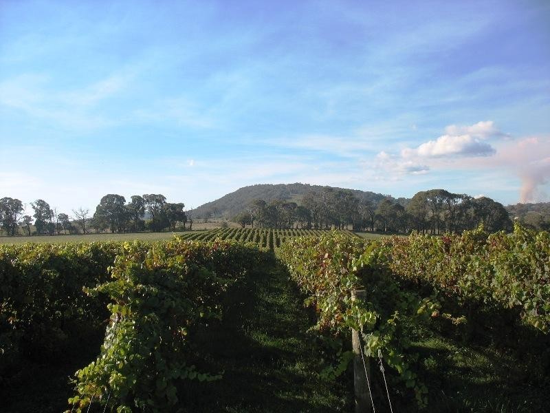 90 Black Range Road, Tumbarumba NSW 2653