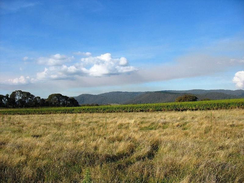 90 Black Range Road, Tumbarumba NSW 2653