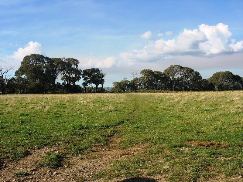 90 Black Range Road, Tumbarumba NSW 2653