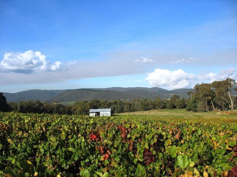 90 Black Range Road, Tumbarumba NSW 2653