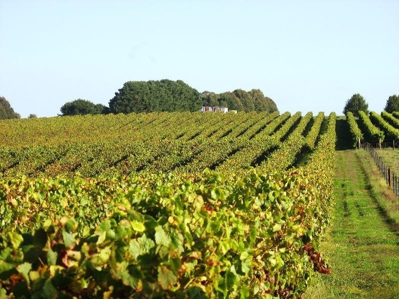 90 Black Range Road, Tumbarumba NSW 2653