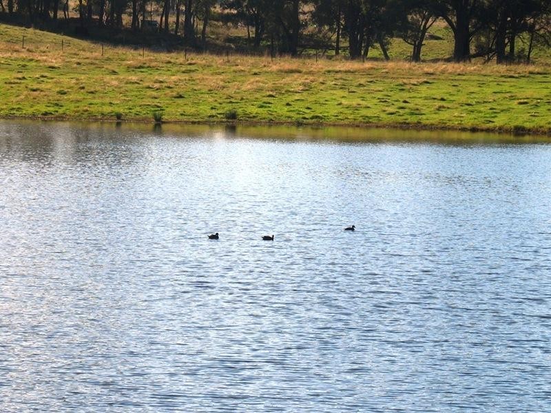 90 Black Range Road, Tumbarumba NSW 2653