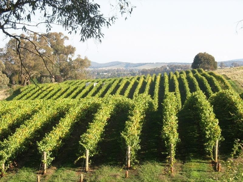 90 Black Range Road, Tumbarumba NSW 2653