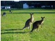 1 Natures Close, Currumbin Valley QLD 4223