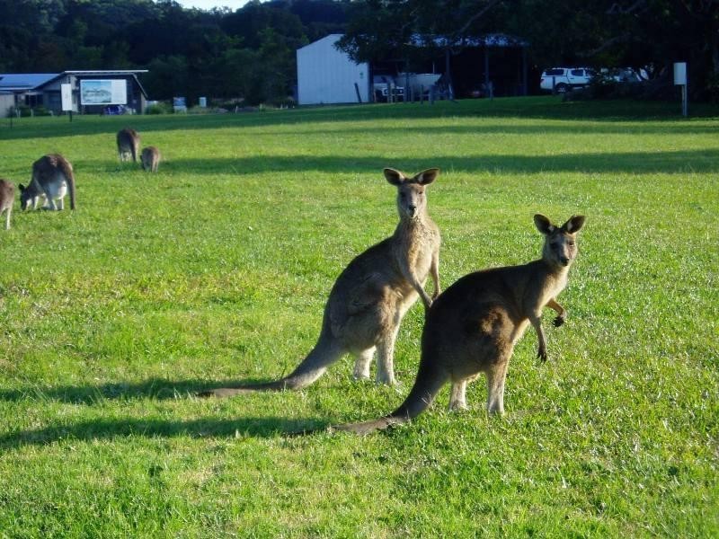 1 Natures Close, Currumbin Valley QLD 4223