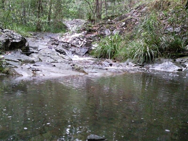 12 Breynia Court, Elanora QLD 4221