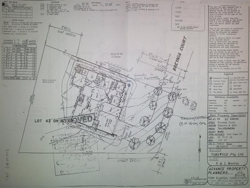 12 Breynia Court, Elanora QLD 4221