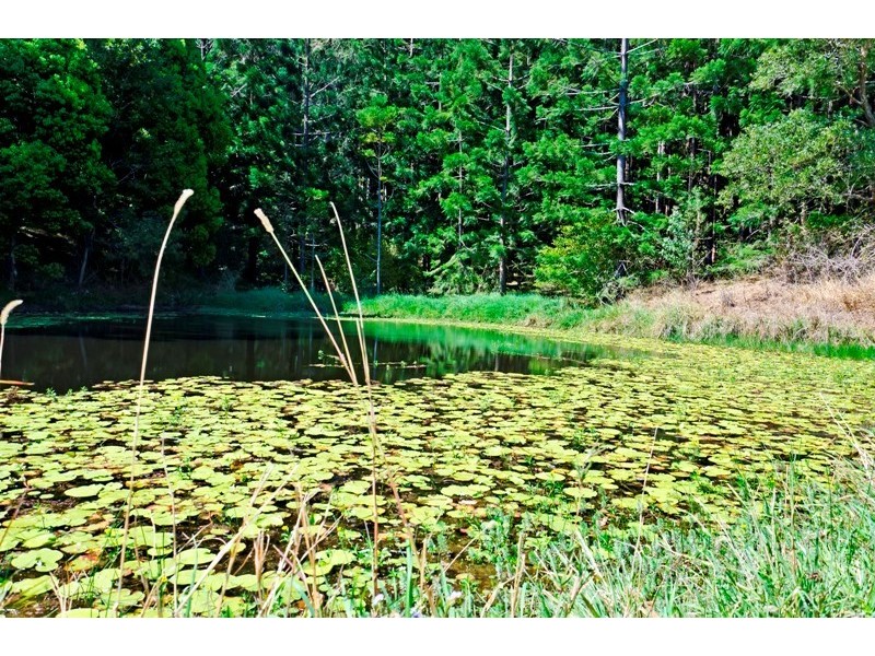 8 Mumdjin Court, Currumbin Valley QLD 4223