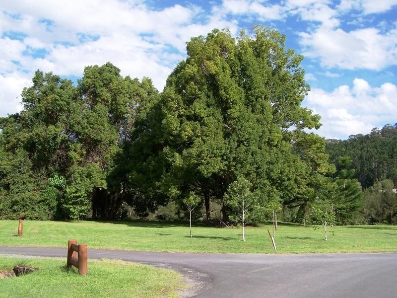 1 Doolee Court, Currumbin Valley QLD 4223