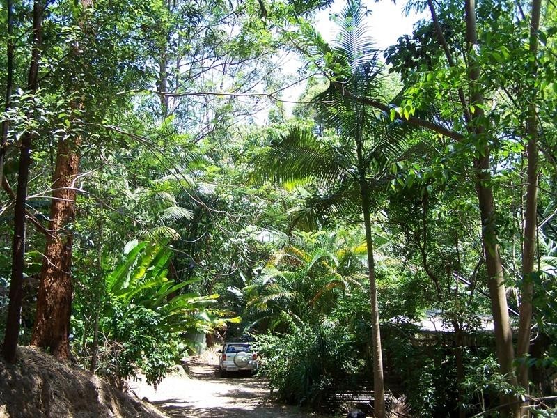 446 Tomewin Mountain Road, Currumbin Valley QLD 4223