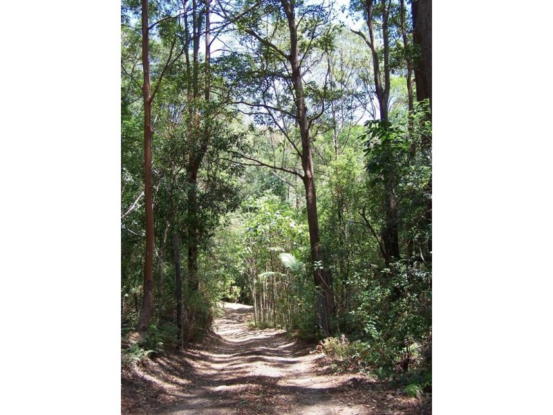 446 Tomewin Mountain Road, Currumbin Valley QLD 4223