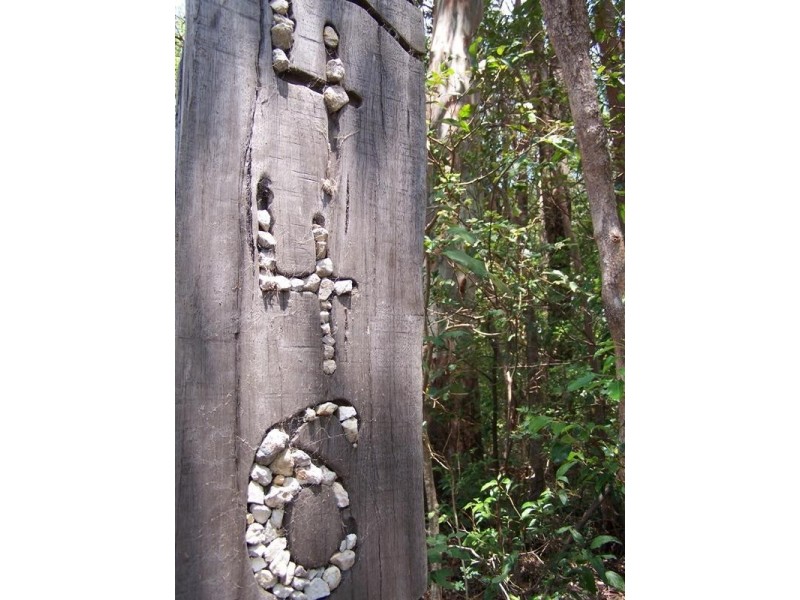 446 Tomewin Mountain Road, Currumbin Valley QLD 4223