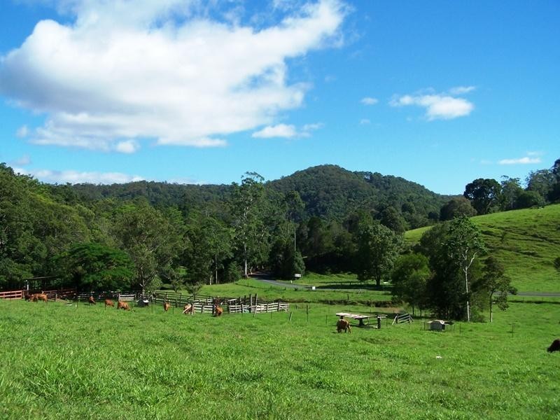 128 Syndicate Road, Tallebudgera Valley QLD 4228