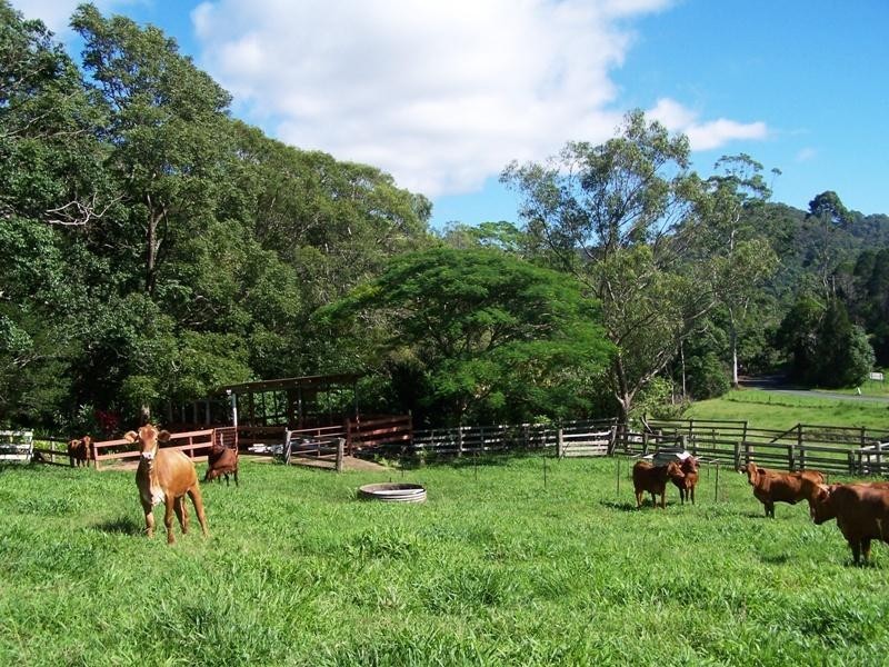 128 Syndicate Road, Tallebudgera Valley QLD 4228