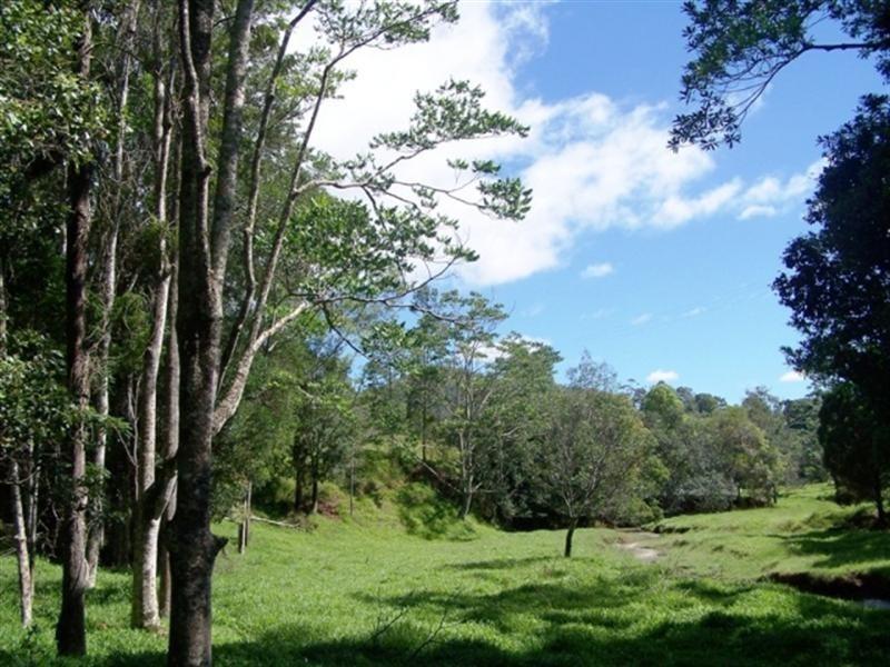 128 Syndicate Road, Tallebudgera Valley QLD 4228