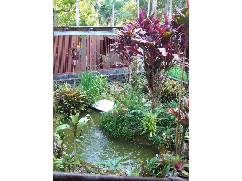 128 Syndicate Road, Tallebudgera Valley QLD 4228