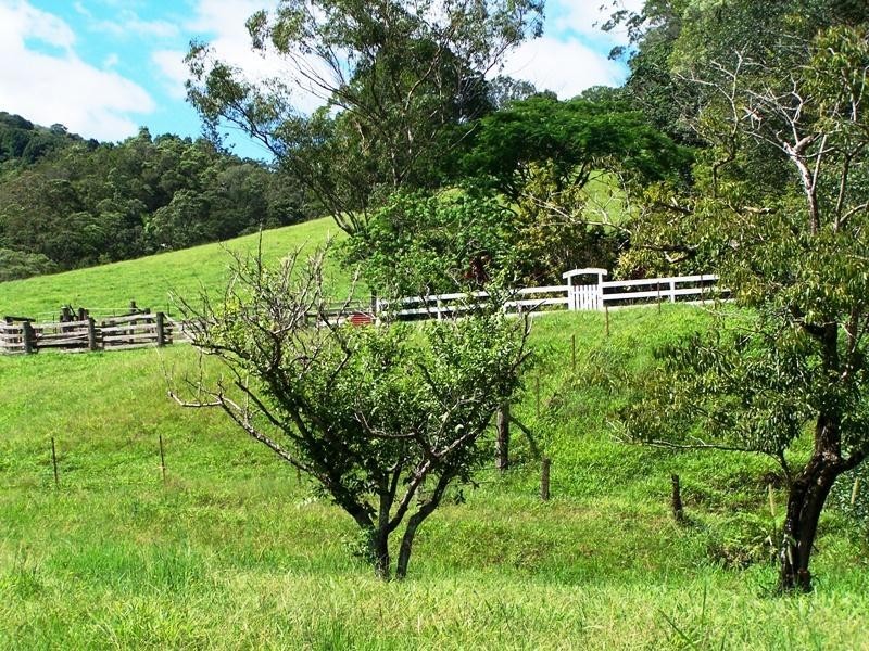 128 Syndicate Road, Tallebudgera Valley QLD 4228